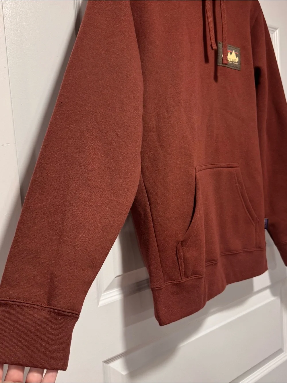 Patagonia Rust Pullover Hoodie with Logo Patch
